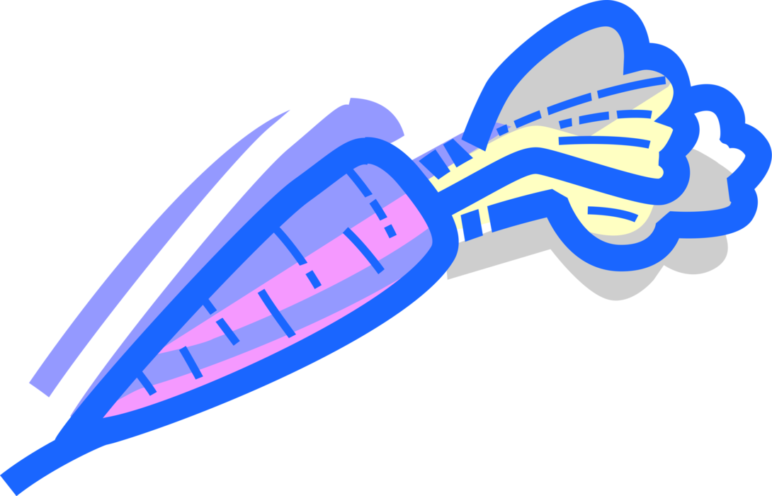 Vector Illustration of Garden Root Vegetable Carrot Contains Carotenoids for Vision and Eye Health