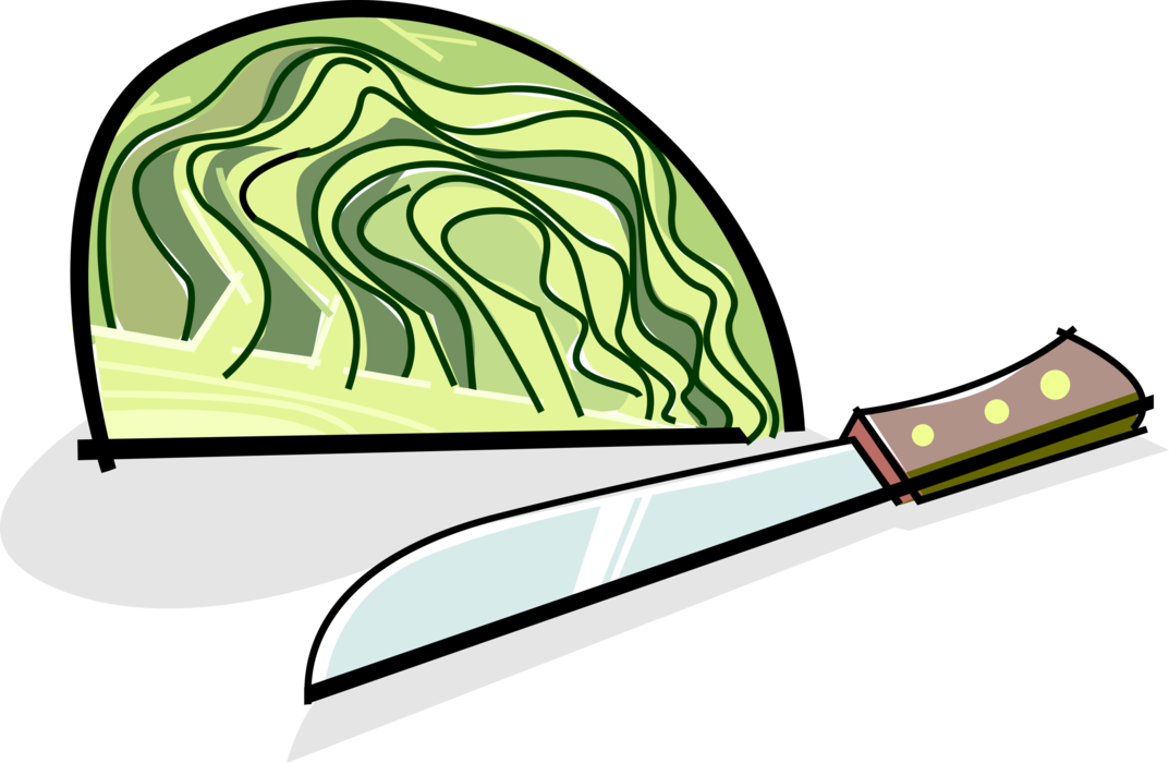 Vector Illustration of Leafy Green Cabbage Edible Vegetable Plant with Knife