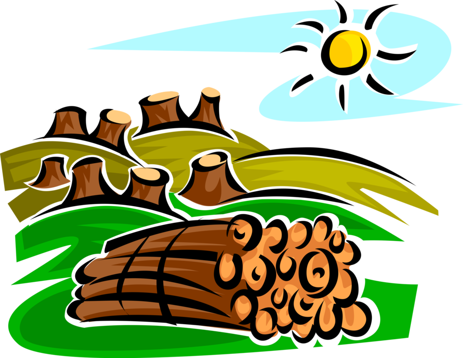 Vector Illustration of Forestry and Logging and Wood Processing Industry Clearcutting Deforestation with Tree Stumps and Logs