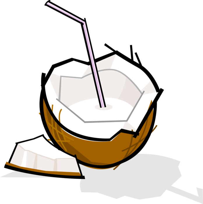 Vector Illustration of Coconut Cocktail Beverage Drink with Drinking Straw