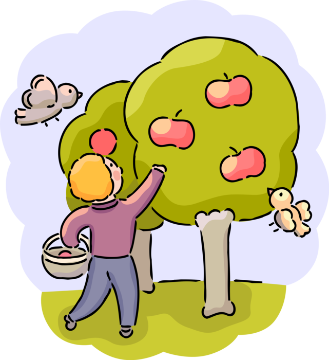 Vector Illustration of Academic Student Picks Apple Fruit from Orchard Tree of Knowledge with Feathered Birds