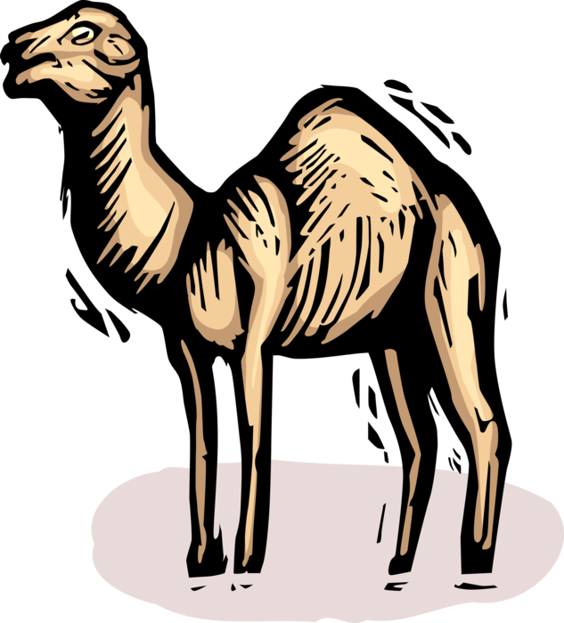 Vector Illustration of Beast of Burden Camel Dromedary Even-Toed Ungulate