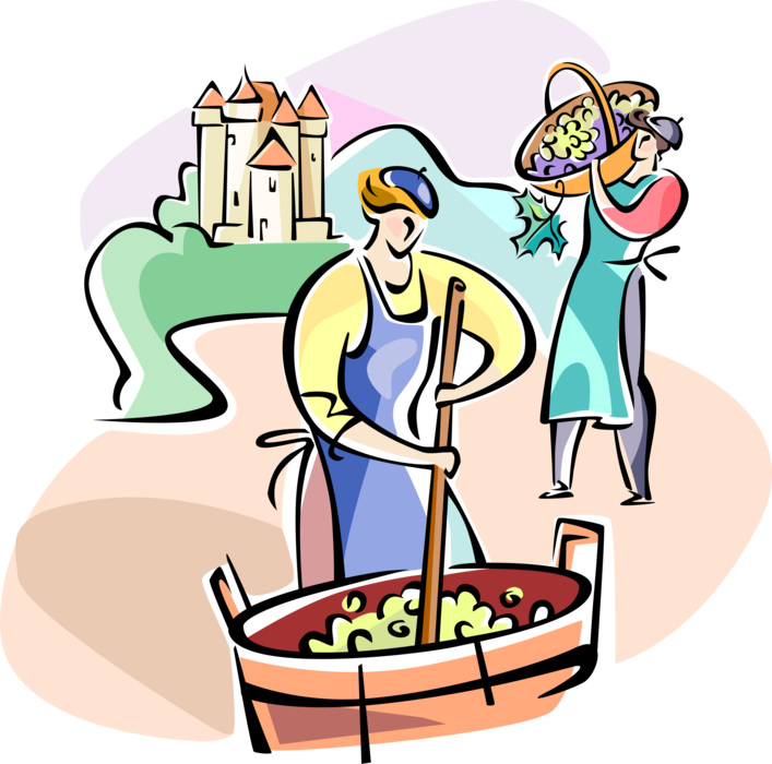 Vector Illustration of Vineyard Workers Making Wine with Grape Harvest