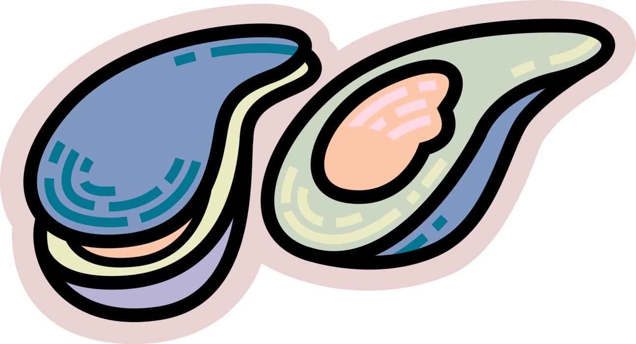 Vector Illustration of Marine Bivalve Mollusk Oyster