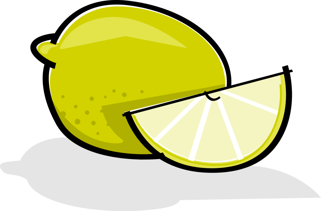 Vector Illustration of Sliced Citrus Lime Fruit