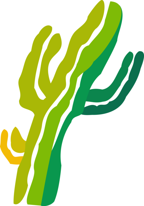 Vector Illustration of Desert Vegetation Succulent Cactus