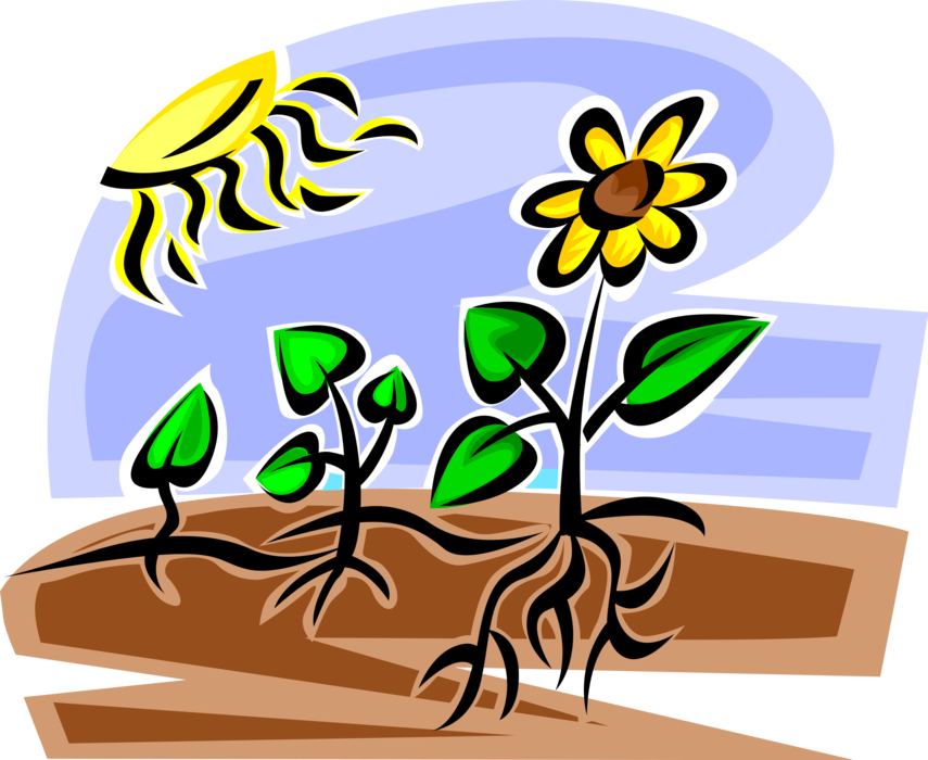 Vector Illustration of Flower Plants Struggle to Grow in Drought Conditions in Climate Change Global Warming