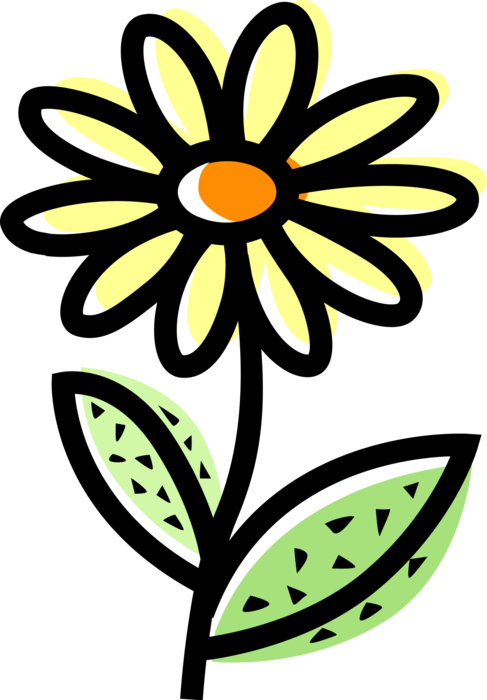 Vector Illustration of Botanical Horticulture Daisy Garden Flower Plant