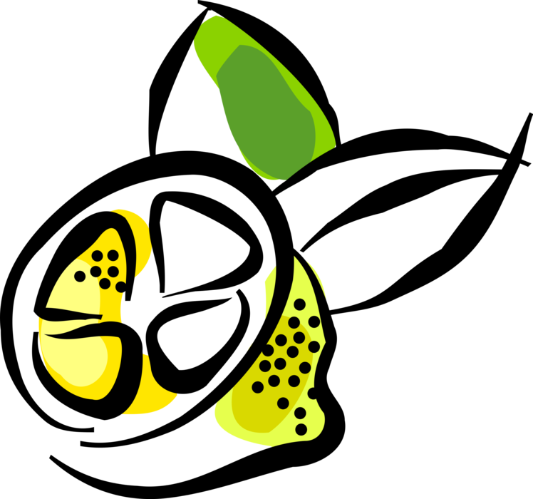 Vector Illustration of Sliced Citrus Lemon Fruit