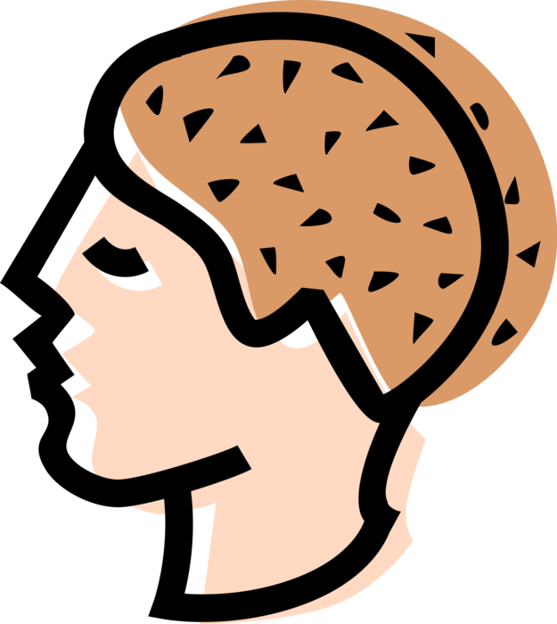 Vector Illustration of Human Male Head