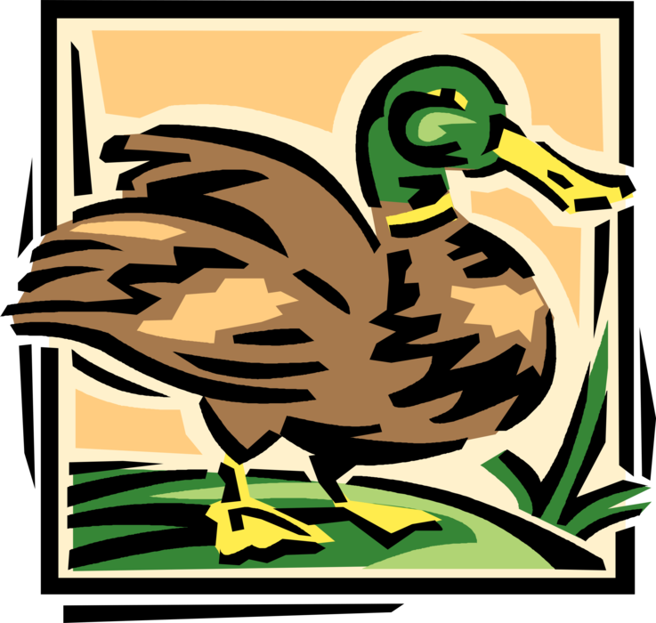 Vector Illustration of Mallard Duck Bird in Marshland Vegetation