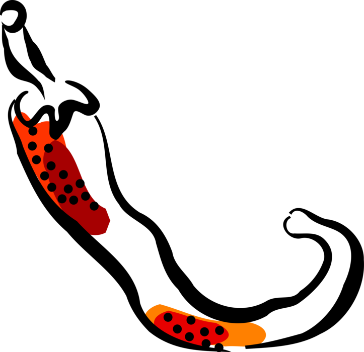 Vector Illustration of Cayenne Red Hot Chili or Chilli Pepper