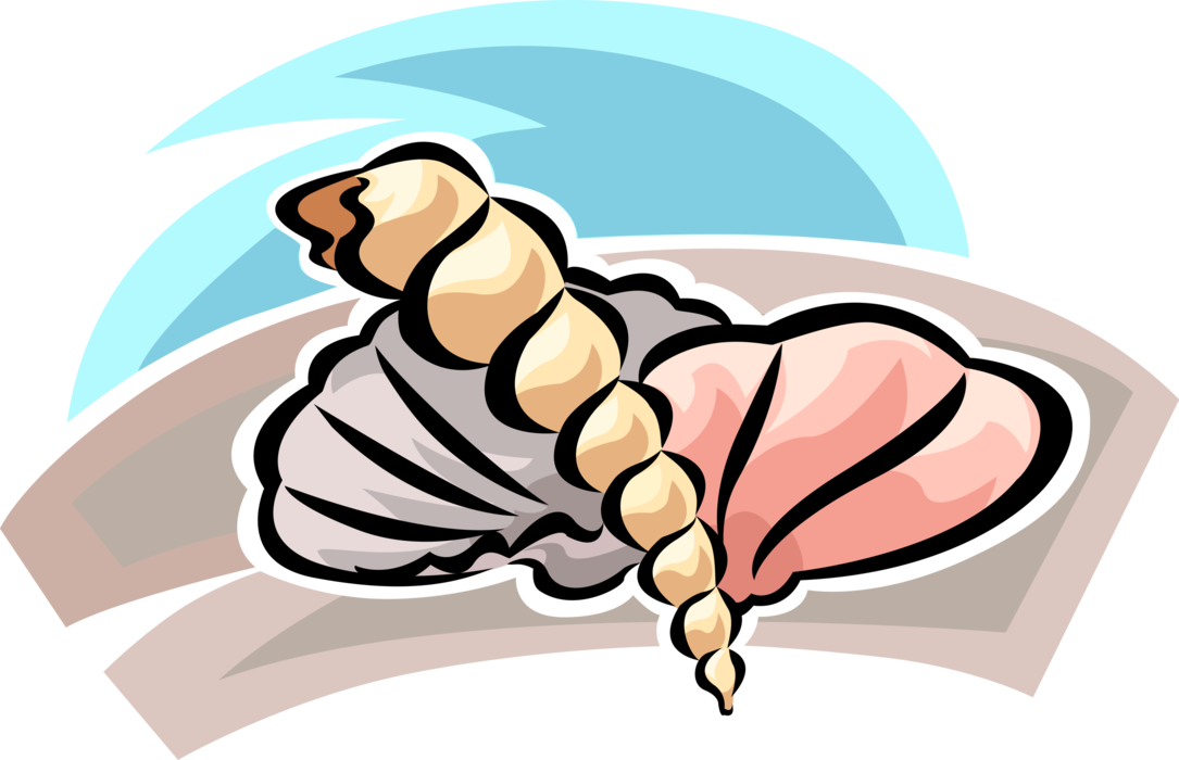 Vector Illustration of Marine Aquatic Mollusk Seashell