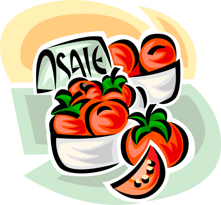 Vector Illustration of Fresh Tomatoes for Sale in Supermarket Grocery Store