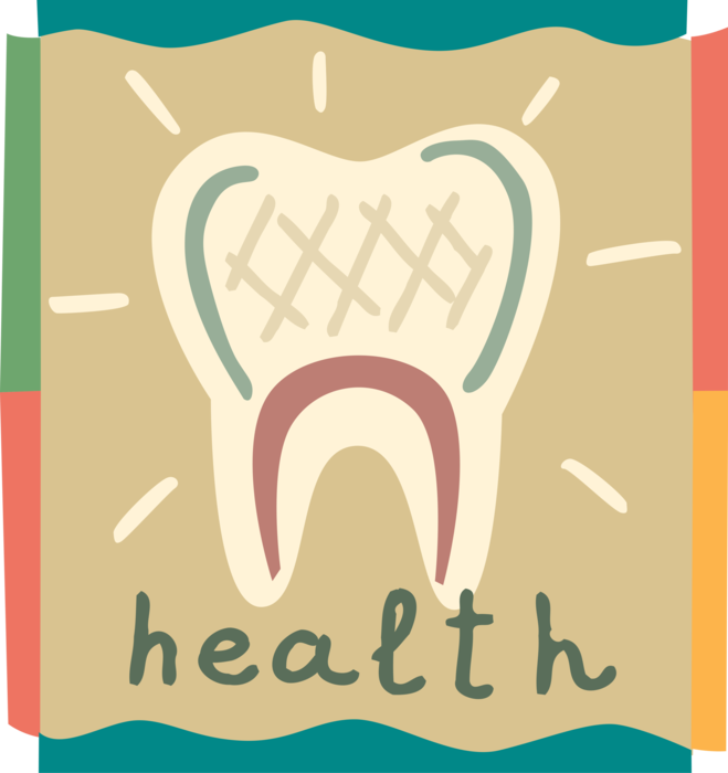 Vector Illustration of Healthy Molar Tooth and Oral Hygiene from Dental Care