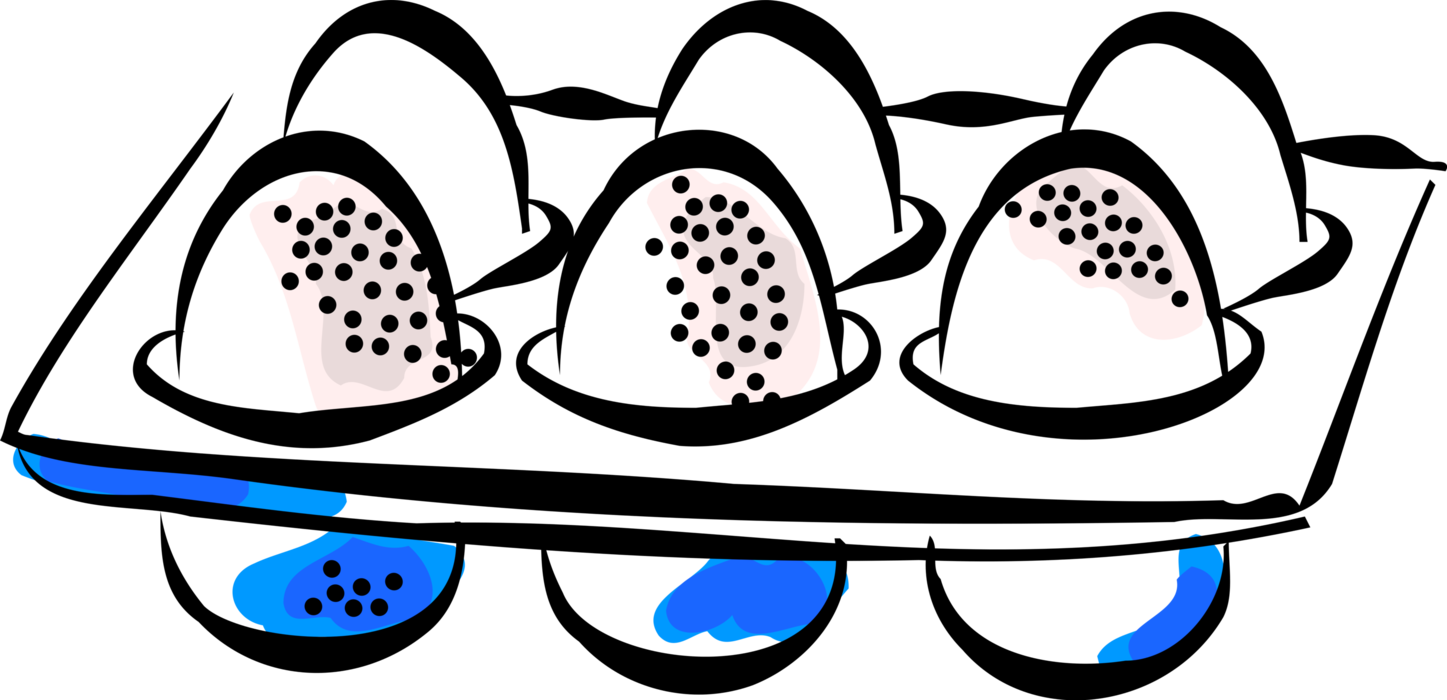 Vector Illustration of Half Dozen Chicken Hen Eggs in Egg Carton