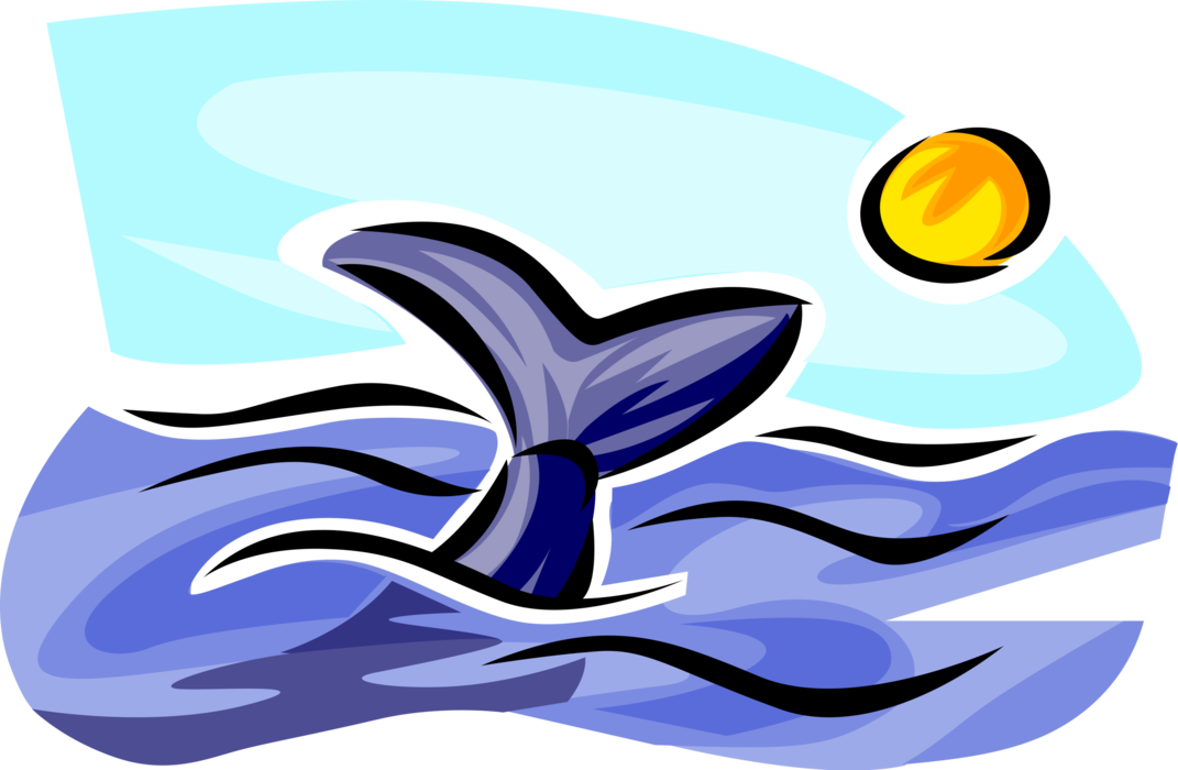 Vector Illustration of Humpback Whale Watching Cetacean Whale Flute Surfacing and Breaching