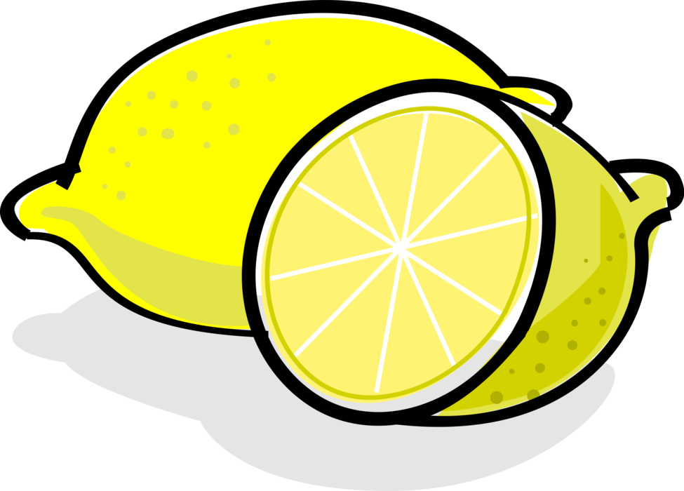 Vector Illustration of Sliced Citrus Fruit Lemon