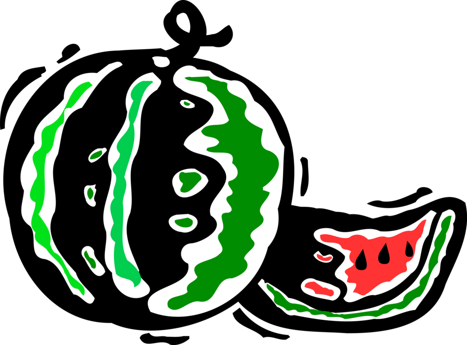 Vector Illustration of Watermelon Fruit Melon with Slice