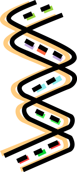 Vector Illustration of Double Helix DNA Deoxyribonucleic Acid Molecule Carries Genetic Instructions