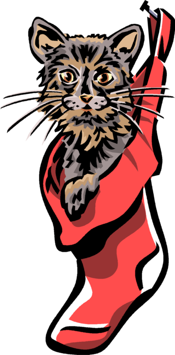Vector Illustration of Family Pet Domestic Cat in Christmas Stocking