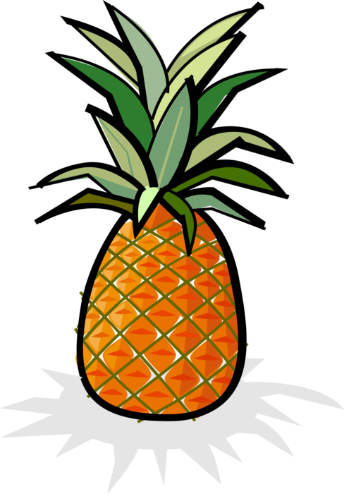 Vector Illustration of Tropical Plant Pineapple Fruit Food