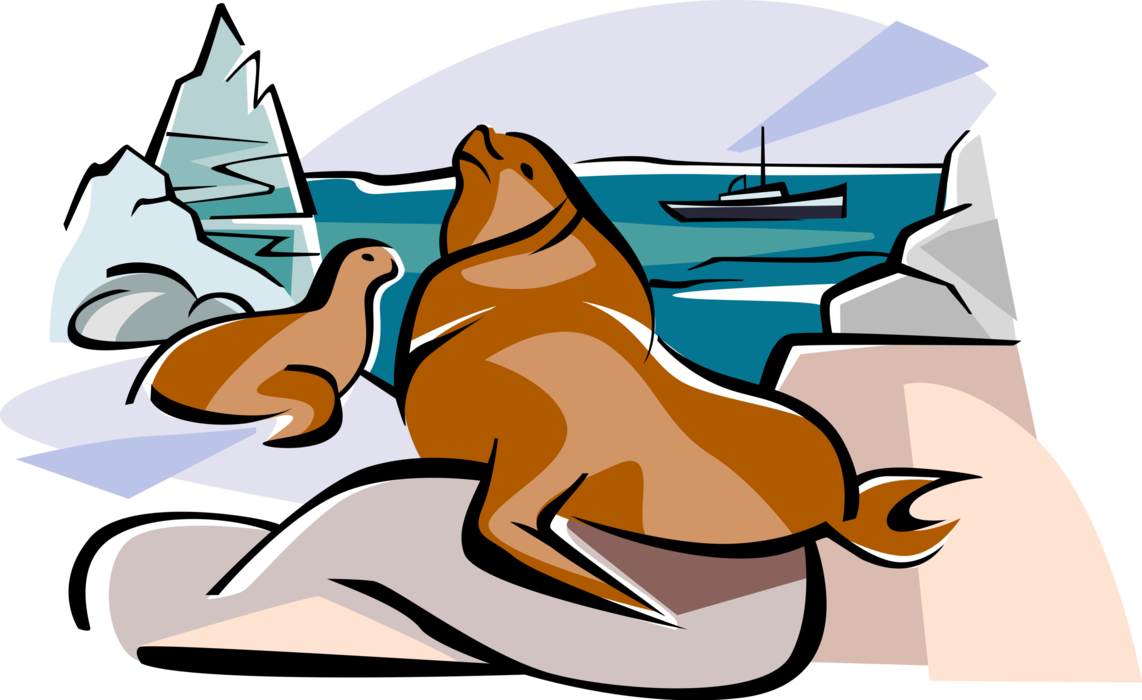 Vector Illustration of Northern Sea Shore with Seals, Germany 