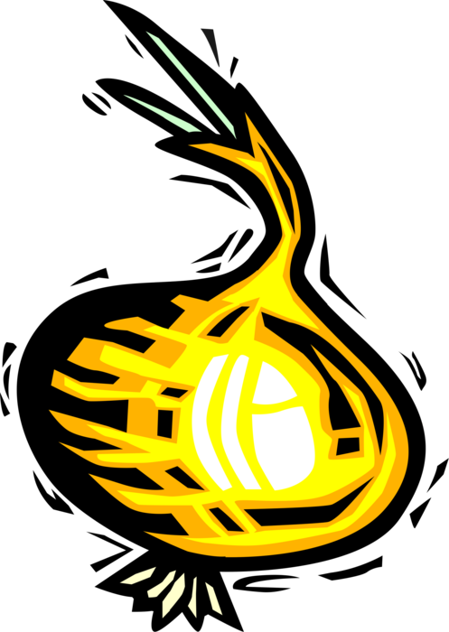 Vector Illustration of Onion Bulb Vegetable