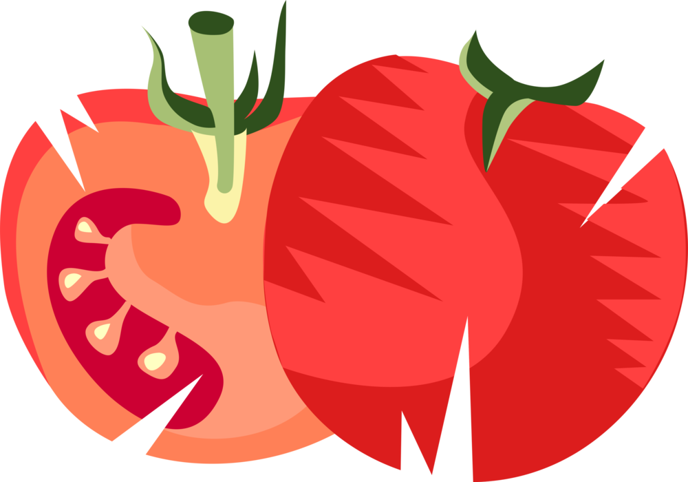 Vector Illustration of Sliced Tomato Edible Culinary Vegetable Plant