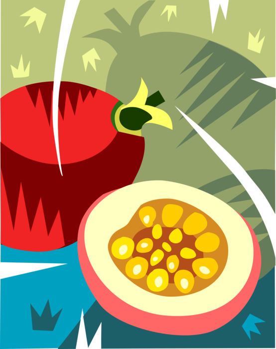Vector Illustration of Sliced Pomegranate Edible Fruit Berry Filled with Seeds Great Source of Antioxidants