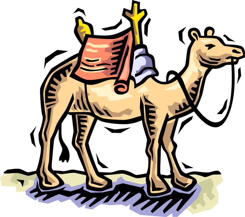 Vector Illustration of Beast of Burden Camel Dromedary Even-Toed Ungulate