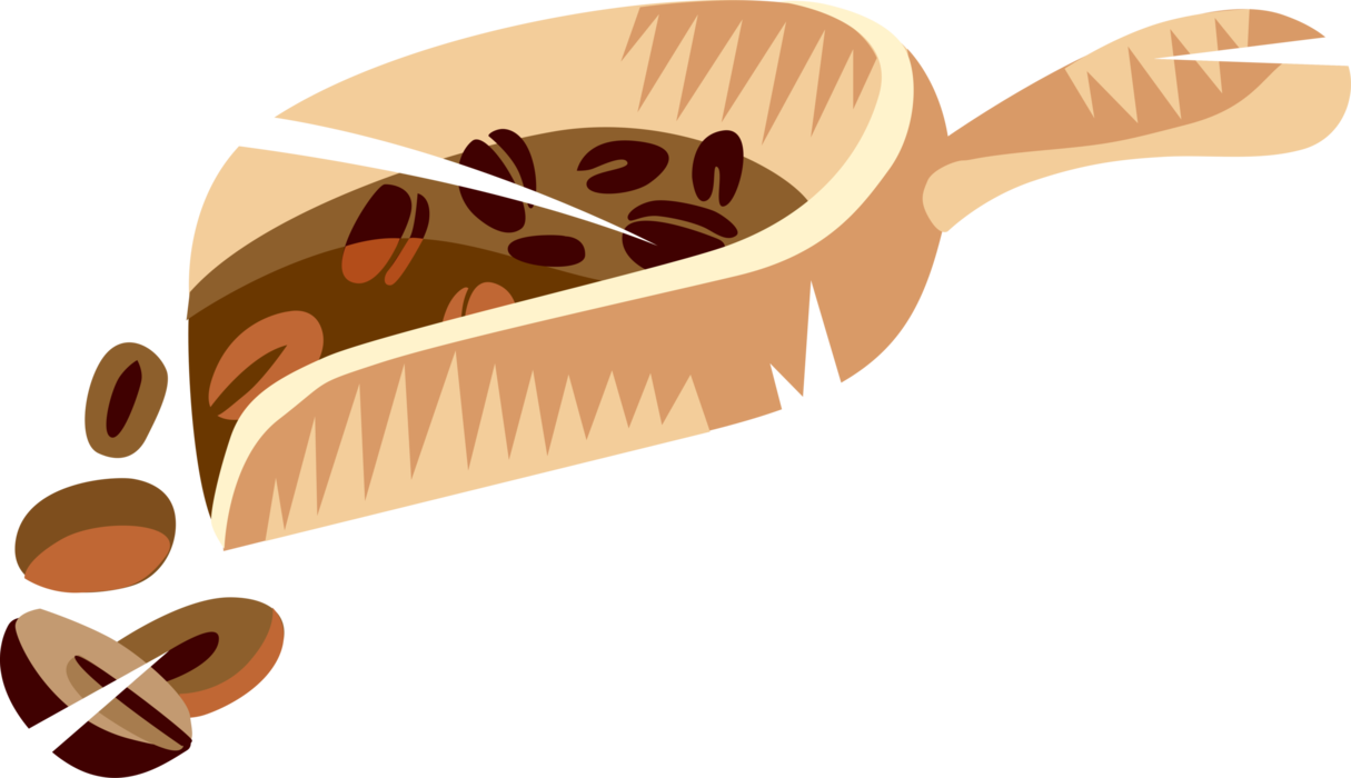 Vector Illustration of Coffee Bean Seed of the Coffee Plant in Scoop