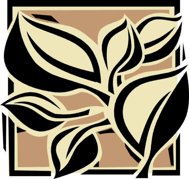 Vector Illustration of Decorative Floral Vascular Botanical Horticulture Plant Foliage Leaves