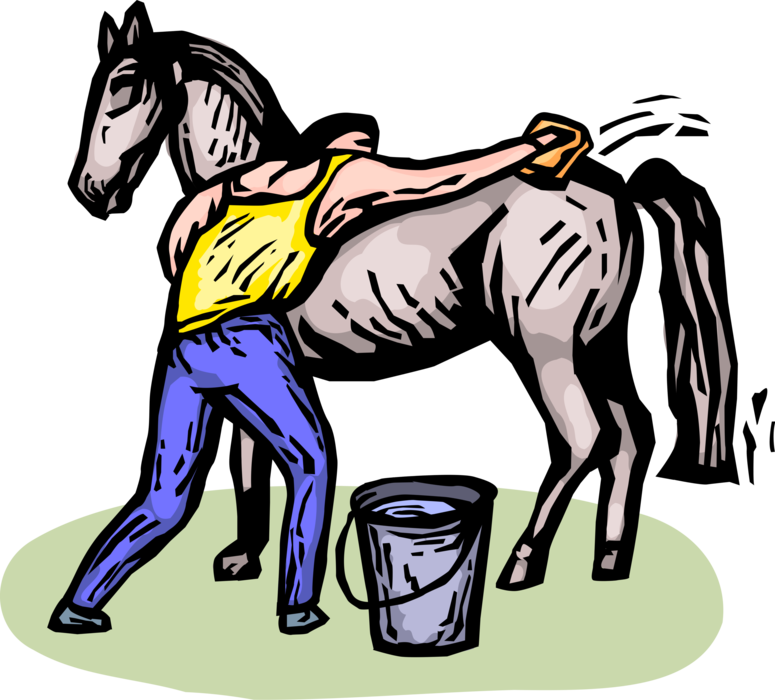 Vector Illustration of Stable Worker Grooms and Brushes Equestrian Horse