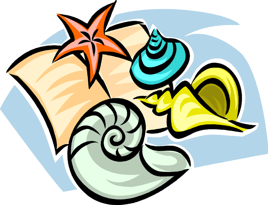 Vector Illustration of Marine Aquatic Mollusk Seashells