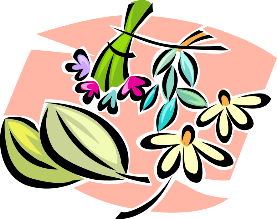 Vector Illustration of Flower Petals and Blossoms with Leaves