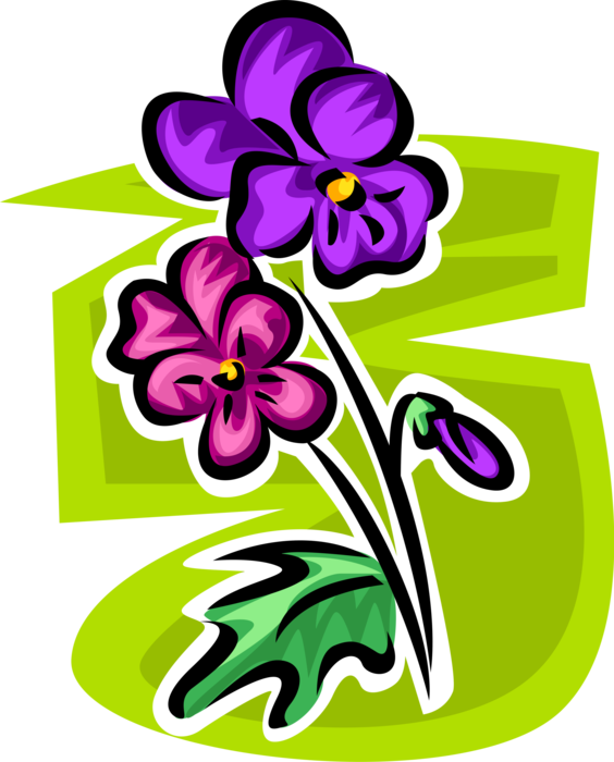 Vector Illustration of Botanical Flowering Plant Garden Flower Blossoms