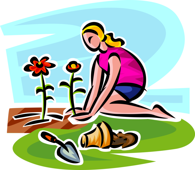 Vector Illustration of Gardener Planting Flowering Plants from Pot in Flower Garden