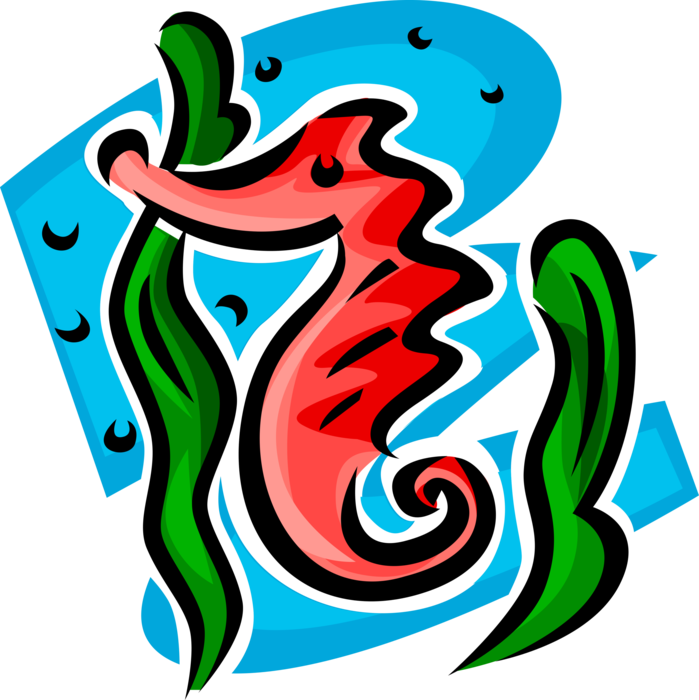 Vector Illustration of Marine Fish Hippocampus Genus Seahorse Swimming at Reef