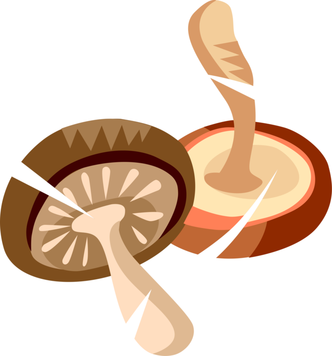 Vector Illustration of Edible Mushroom or Toadstool Fleshy Spore-Bearing Fungus Food