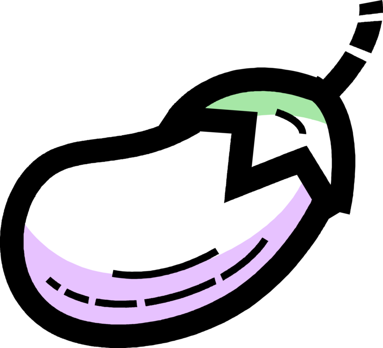 Vector Illustration of Eggplant Aubergine Nightshade Edible Vegetable