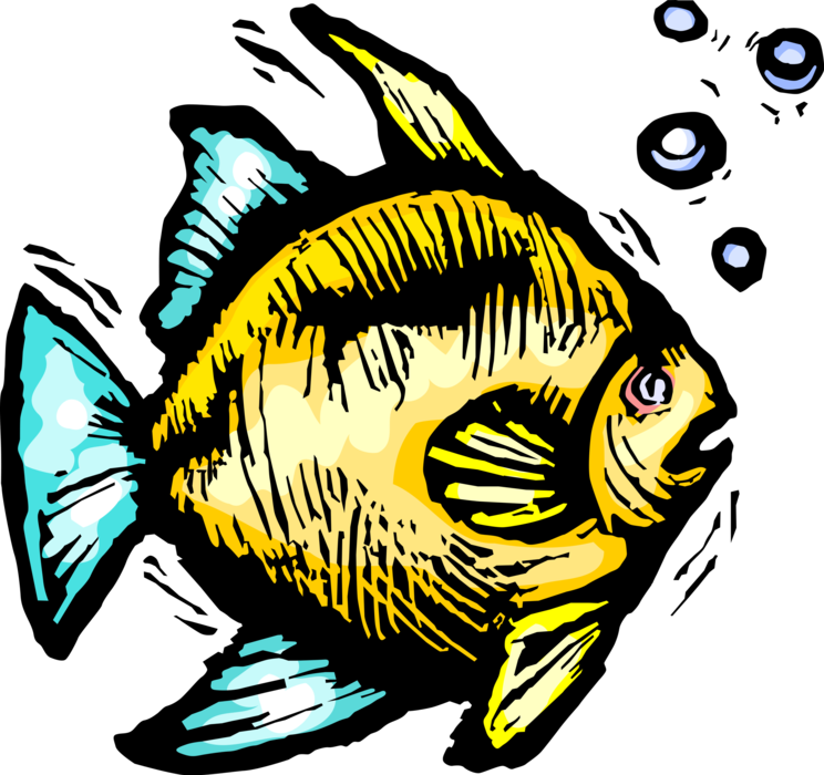 Vector Illustration of Tropical Marine Aquatic Fish
