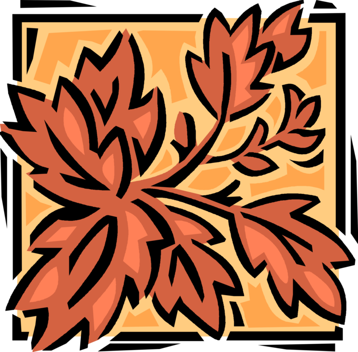 Vector Illustration of Autumn Fall Vascular Botanical Horticulture Plant Foliage Leaves