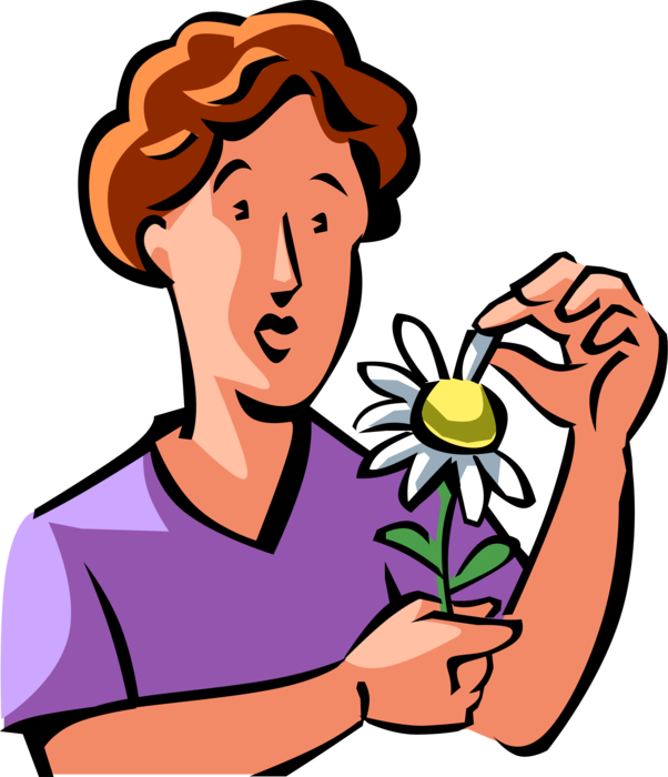 Vector Illustration of Infatuated Woman Plucks Petals from Daisy Flower in He Loves Me, He Loves Me Not Game