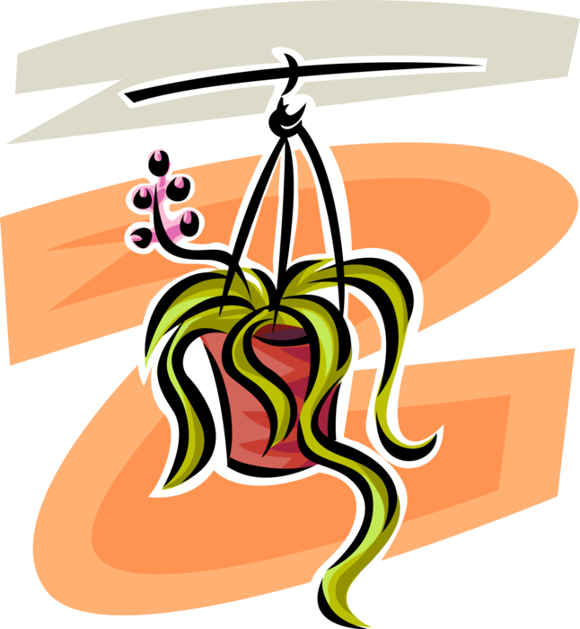 Vector Illustration of Hanging Houseplant Flowering Plant