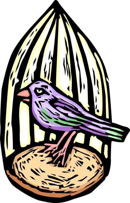 Vector Illustration of Feathered Pet Bird in Birdcage