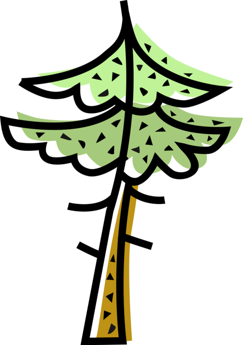 Vector Illustration of Coniferous Evergreen Pine Tree Vegetation in Forest