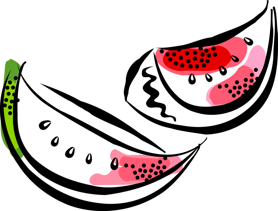 Vector Illustration of Watermelon Fruit Melon