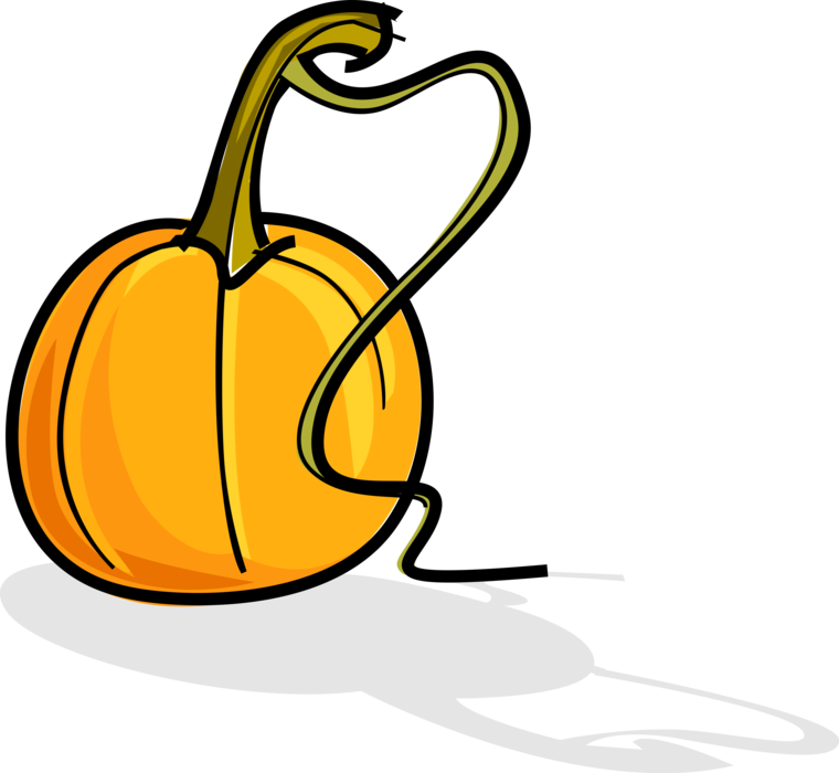 Vector Illustration of Halloween Jack-o'-Lantern Pumpkin Squash