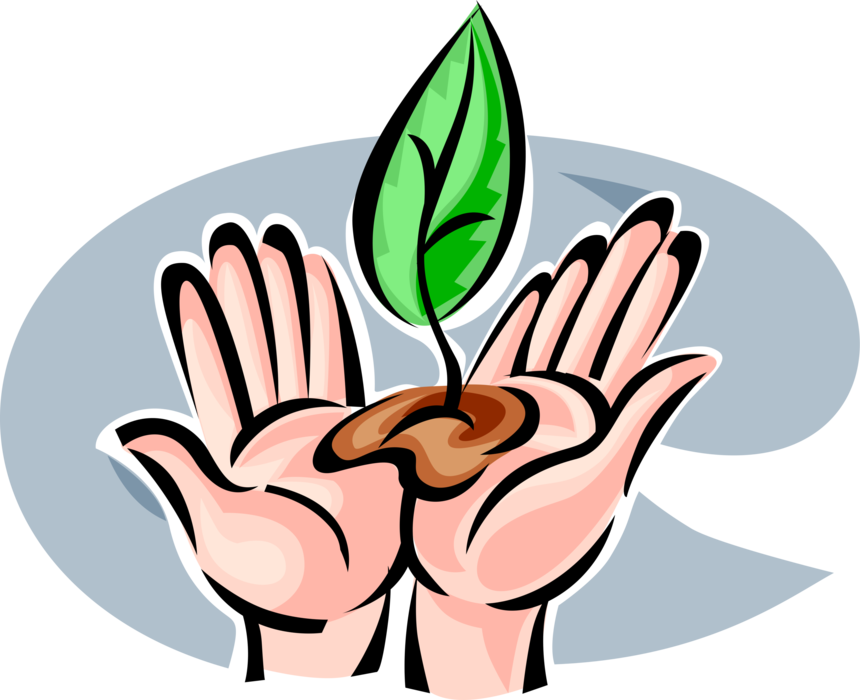 Vector Illustration of Nurturing Hands Plant Seedling Trees to Create Thriving Vibrant Ecosystem